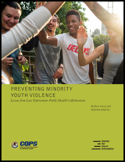 Preventing Minority Youth Violence report cover