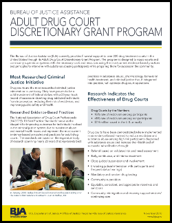 Adult Drug Court Discretionary Grant Program report cover