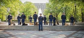 Birmingham Police officers with dogs