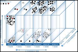 college of policing critical thinking matrix