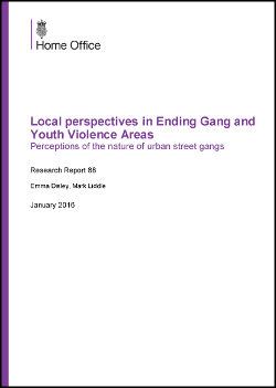 Local Perspectives Ending Gang and Youth Violence Cover