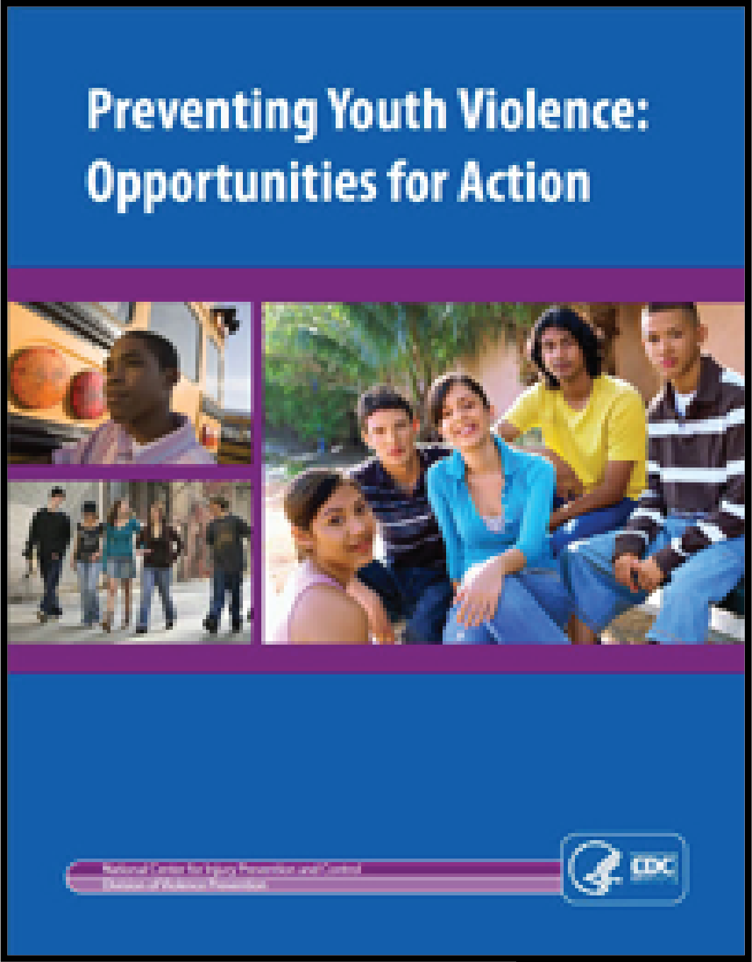 First page of document "Preventing Youth Violence: Opportunities for Action"