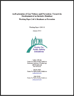 First page of document "An Exploration of Gun Violence and Prevention: Toward the Development of an Inclusive Database"