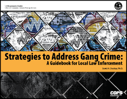 First page of document "Strategies to Address Gang Crime"