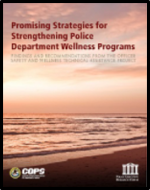 promising strategies cover