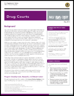 Drug Court Report Cover