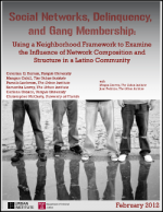 UI_Social_Networks_and_Gang Membership_cover